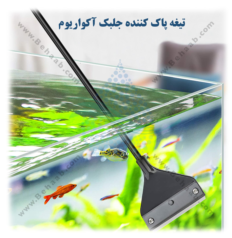 تمیز کردن آب آکواریوم