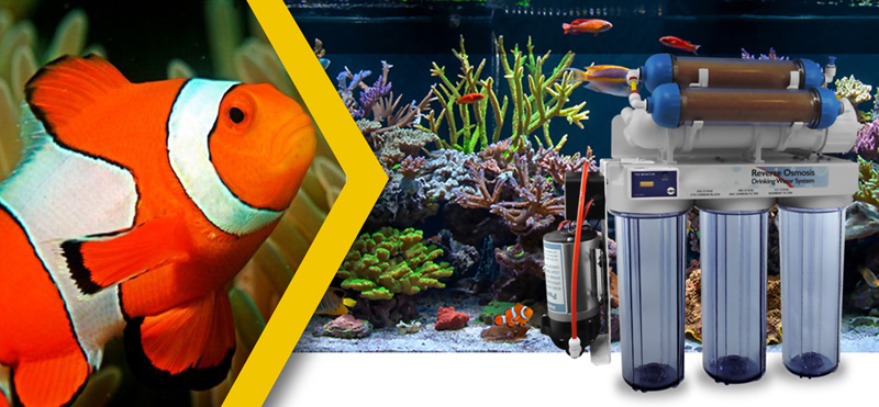 Application of Reverse Osmosis Systems in Aquarium Water Treatmentدستگاه تصفیه آب اسمز معکوس در آکواریوم