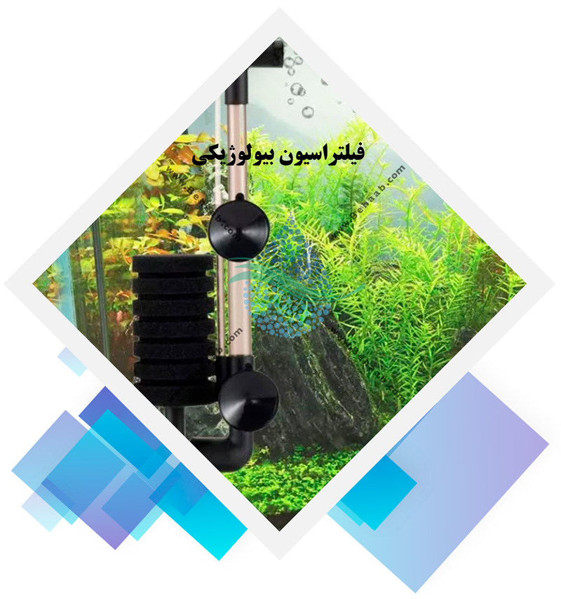 فیلتراسیون بیولوژی Biological Filtration