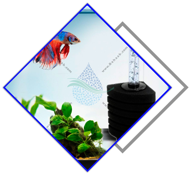 بیوفیلتر آکواریوم 
