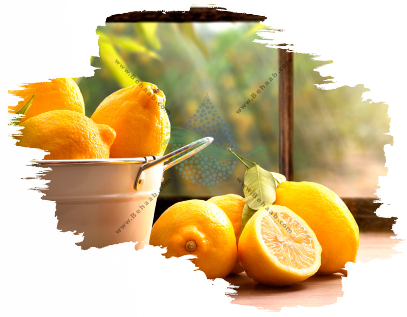  نوشیدنی مارگاریتا با سوداساز  کلایموکس