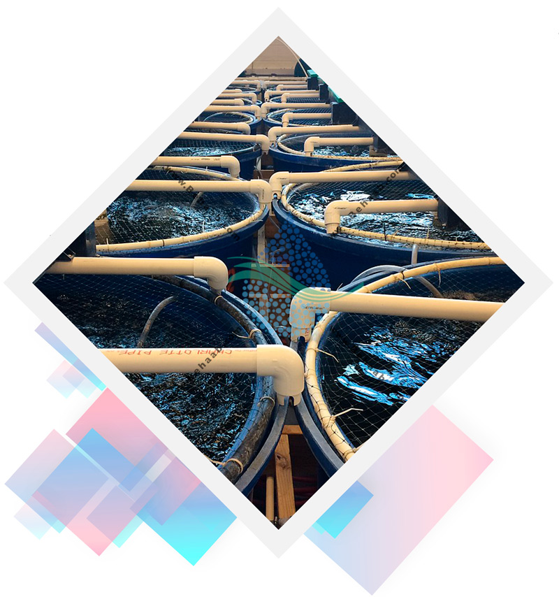 Filtration and reuse of water in ﬁsh farming اجزای سیستم های باز چرخشی در تصفیه آب
