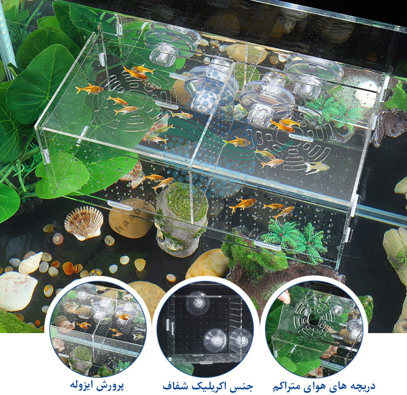 Fish Breeding Box Fish Breeding Box زایشگاه ماهی آکواریوم