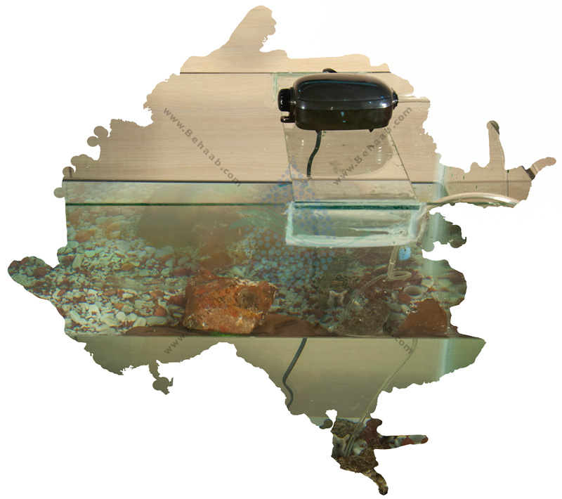 How do I reduce the noise in my aquarium air pump?   رفع صدای پمپ هوا آکواریوم
