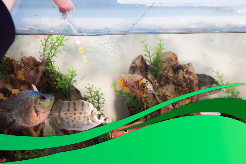  آب برای هر کاربرد PH آموزش نحوه تنظیم 