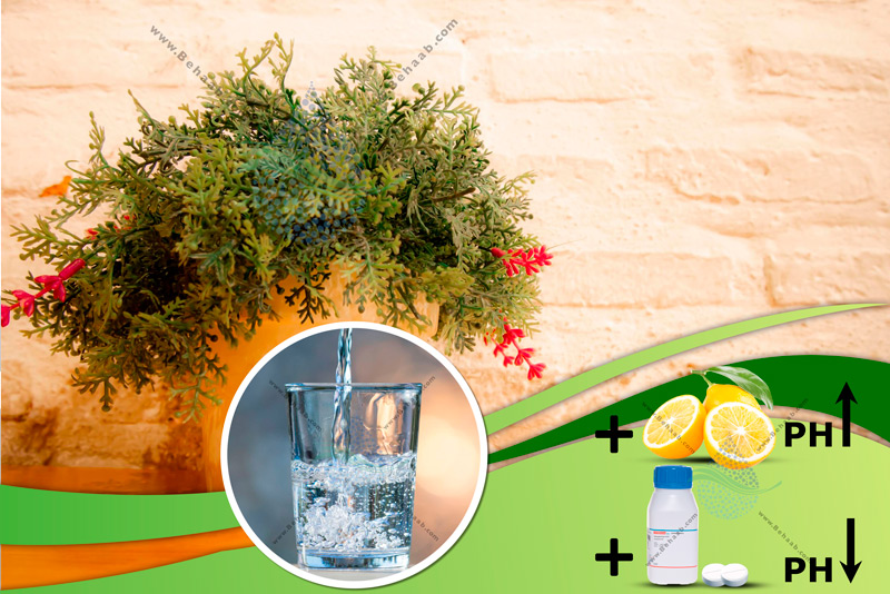 آب برای آبیاری گل و گیاهان ph تنظیم 