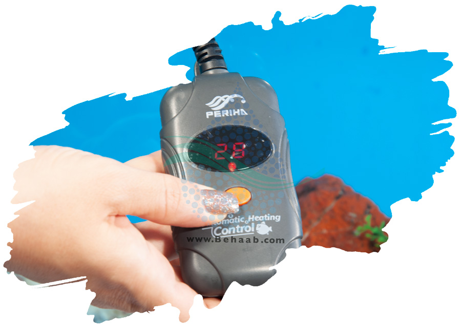 نکات مهم در خرید بخاری آکواریوم How to Choose the Right Aquarium Heater
