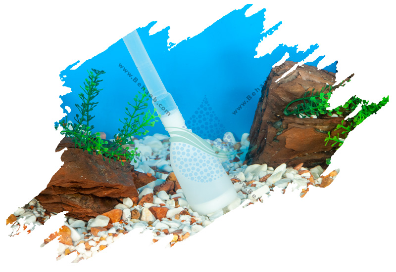 How to Clean an Aquarium نحوه پاکسازی آب آکواریوم