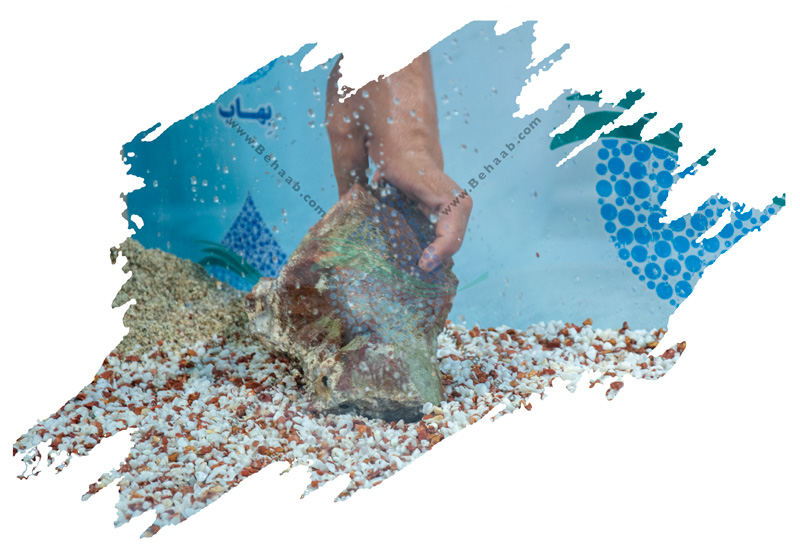 How to Clean an Aquarium مراحل تمیز کردن آکواریوم