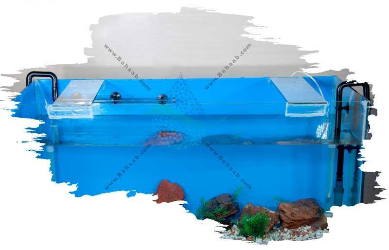 How to Install Atman External Aquarium Filter چگونه فیلتر خارجی آکواریوم را راه اندازی کنیم