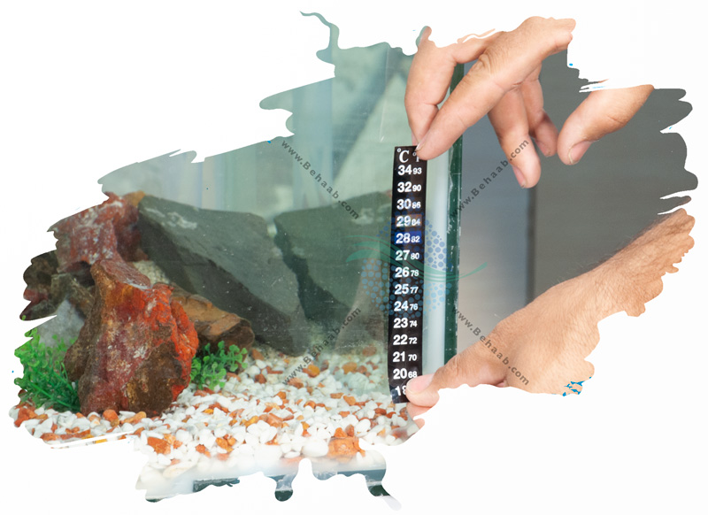 How to Install a Thermometer Strip in an Aquarium طریقه نصب دماسنج نواری آکواریوم