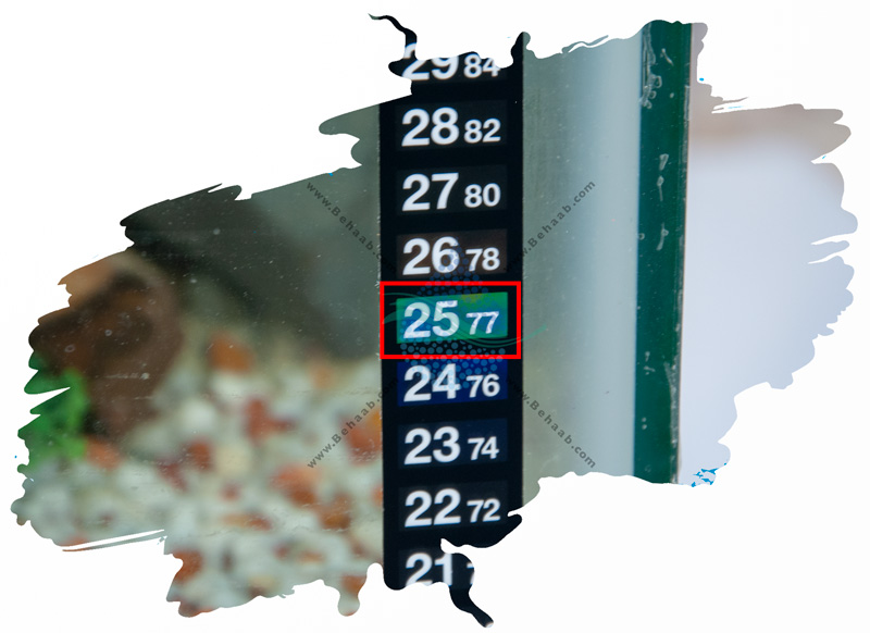 How to Install a Thermometer Strip in an Aquariumنحوه  نصب دماسنج آکواریوم