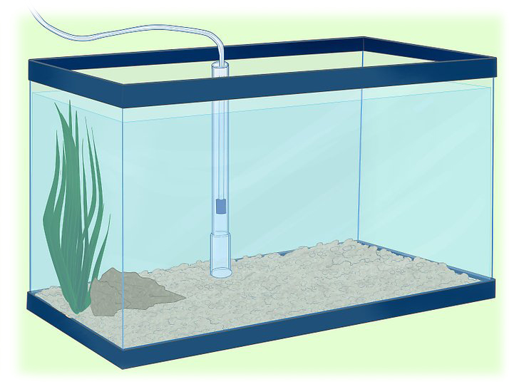 How to Install an Undergravel Filter in Aquarium  طریقه نصب فیلتر شنی آکواریوم