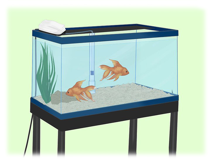 How to Install an Undergravel Filter in Aquarium مراحل نصب و راه اندازی فیلتر زیر شنی آکواریوم 