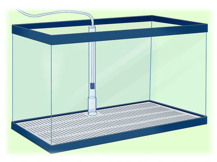 How to Install an Undergravel Filter in Aquarium مراحل نصب و راه اندازی فیلتر زیر شنی آکواریوم 