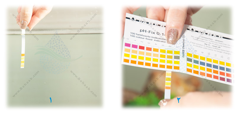 How to adjust the pH of aquarium water نحوه تنظیم pH آب آکواریوم