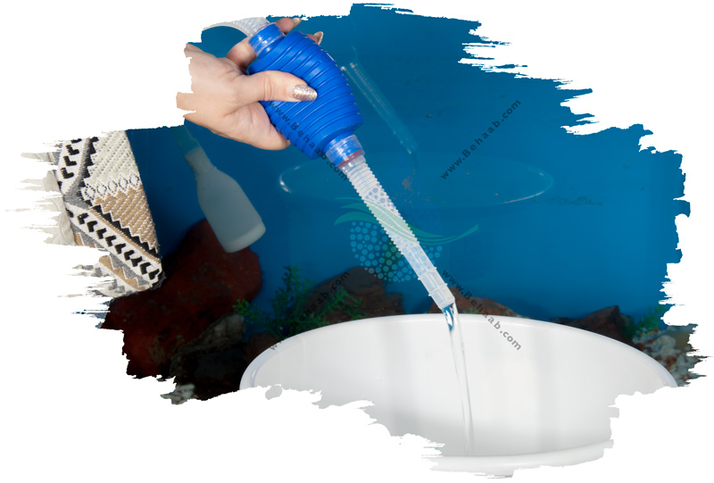 How to siphon an aquarium راهنمای استفاده از سیفون آکواریوم