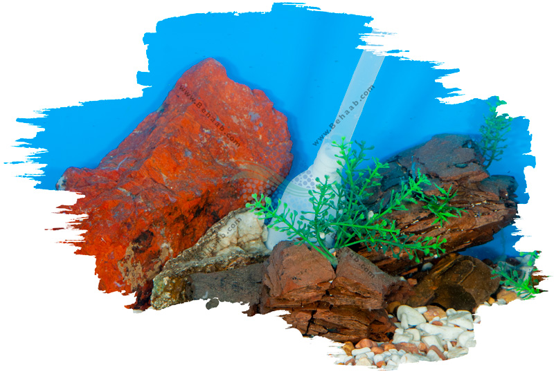 How to siphon an aquarium طریقه صحیح سیفون کردن آکواریوم