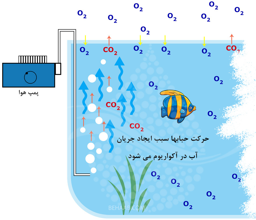 تاثیر پمپ هوا در میزان اکسیژن محلول در آب آکواریوم