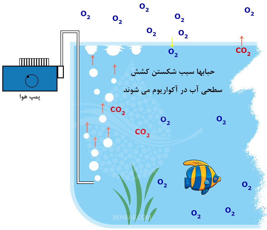 تاثیر پمپ هوا در میزان اکسیژن محلول در آب آکواریوم