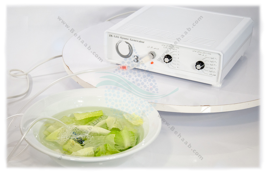 دستگاه ازن ساز خانگی | ازن ژنراتور خانگی Ozone Sanitizer to Disinfect Your Food