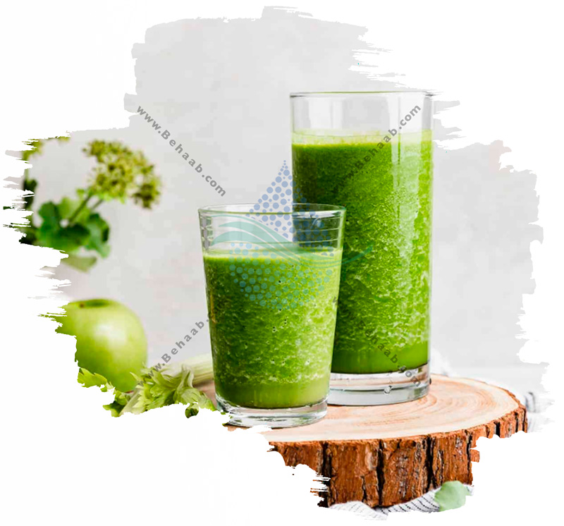  طرز تهیه اسموتی کرفس و سیب با دستگاه سوداساز کلایموکس