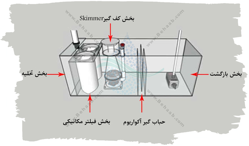 Sump Sections  قسمت های مختلف یک سامپ آکواریوم