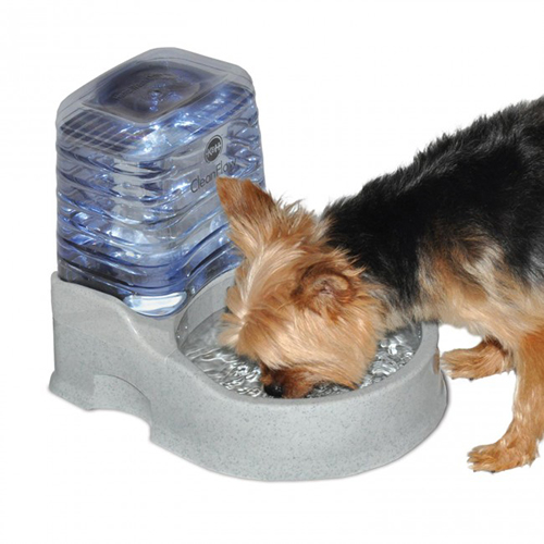 Water Purification For Pets