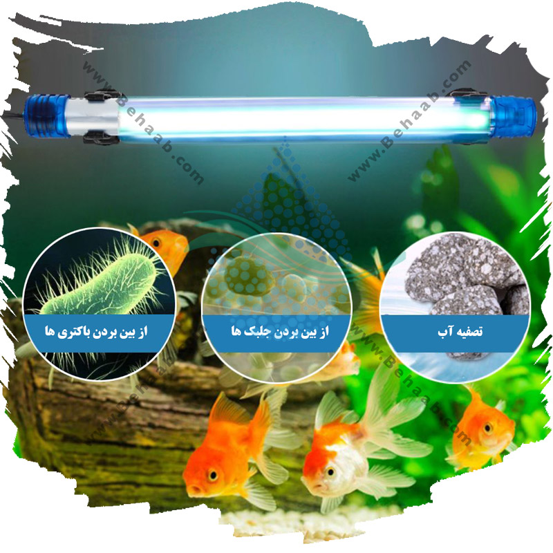 همه چیز درباره دستگاه ضد عفونی و یو وی UV آکواریوم
