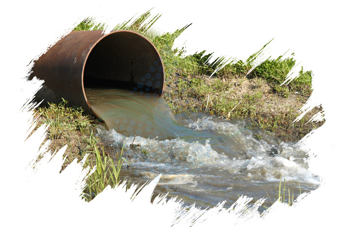 Zeolite in water treatment نقش زئولیت در تصفیه آب
