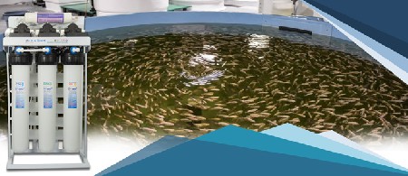 تاثیر دستگاه تصفیه آب برای استخر پرورش ماهی