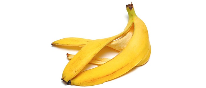 تصفیه آب بوسیله گیاهان