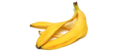 تصفیه آب بوسیله گیاهان