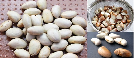 استفاده از گیاهان برای تصفیه آب