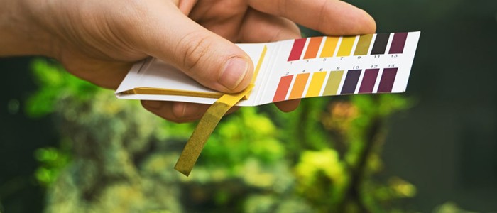 نحوه تنظیم ph آب آکواریوم و تثبیت آن