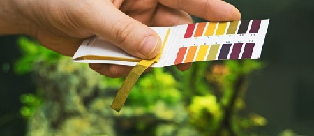 نحوه تنظیم ph آب آکواریوم و تثبیت آن