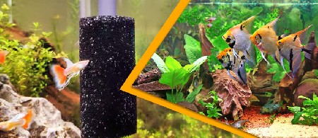 بیوفیلتر آکواریوم چیست