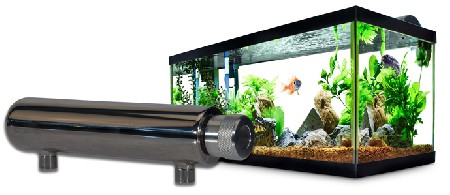 تصفیه آب با UV بهترین گزینه برای آکواریوم‌ها و حوضچه‌ های ماهی