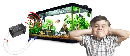نکاتی برای رفع صدای پمپ هوا آکواریوم