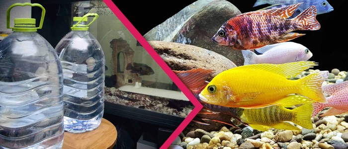 بهترین آب برای آکواریوم چیست