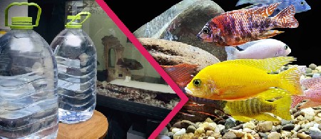 بهترین آب برای آکواریوم چیست