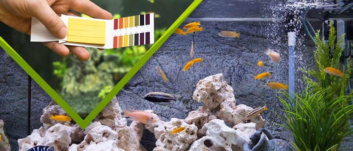 نحوه تست ph آب آکواریوم