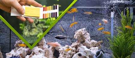 نحوه تست ph آب آکواریوم