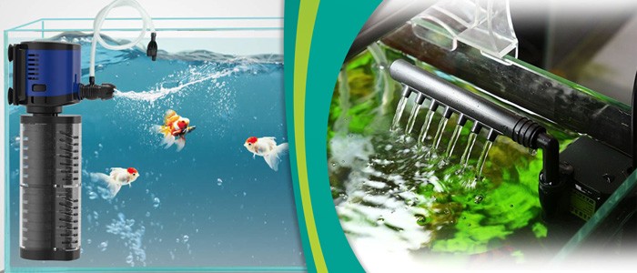 آیا تصفیه آب آکواریوم باید همیشه روشن باشد