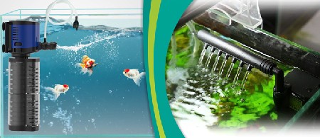 آیا تصفیه آب آکواریوم باید همیشه روشن باشد
