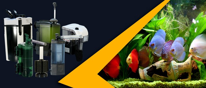 فیلتر آکواریوم چیست