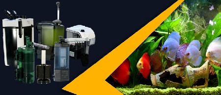فیلتر آکواریوم چیست