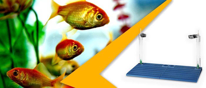 فیلتر زیر شنی آکواریوم چیست