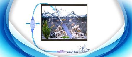 آشنایی با انواع سیفون آکواریوم
