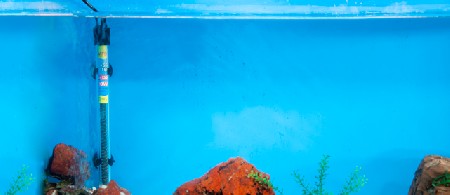 آموزش نصب بخاری آکواریوم